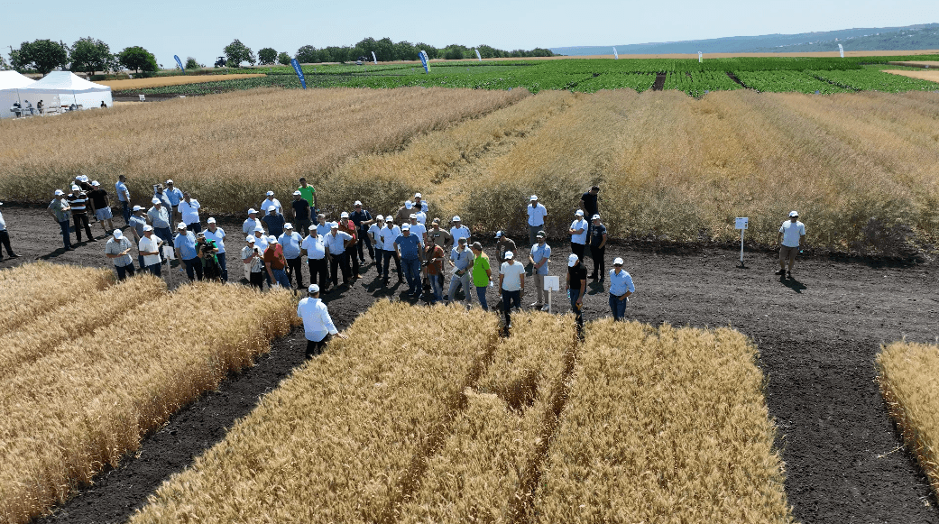 Ziua Câmpului BASF, eveniment de referință pentru agricultori