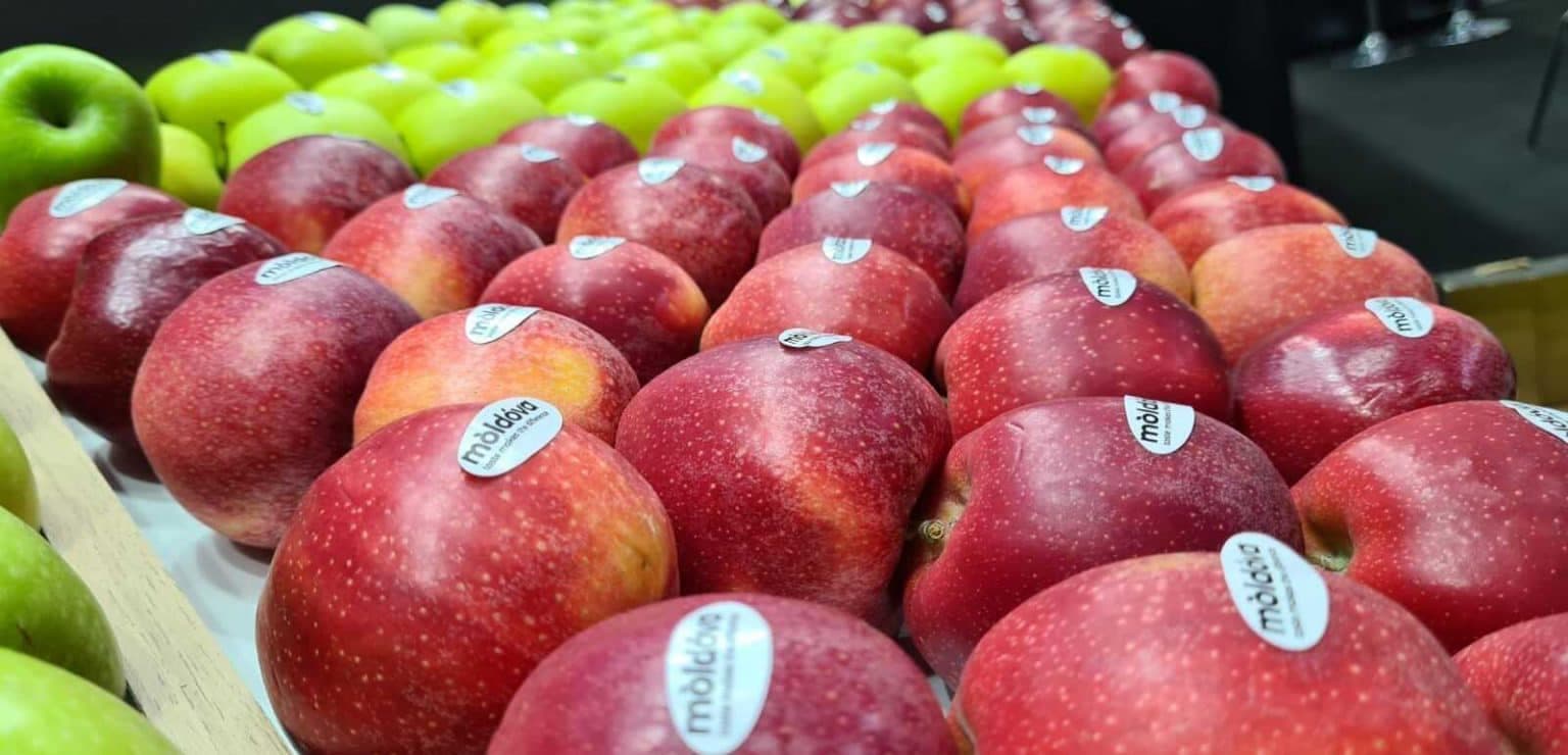 Regatul Unit elimină taxele de import pentru produsele moldovenești