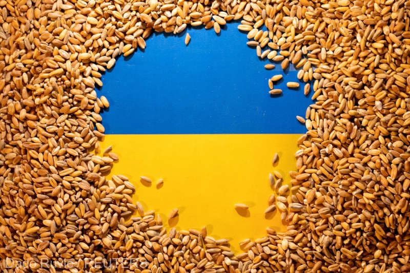 Ucraina se pregăteşte să dea în judecată Polonia, Ungaria şi Slovacia