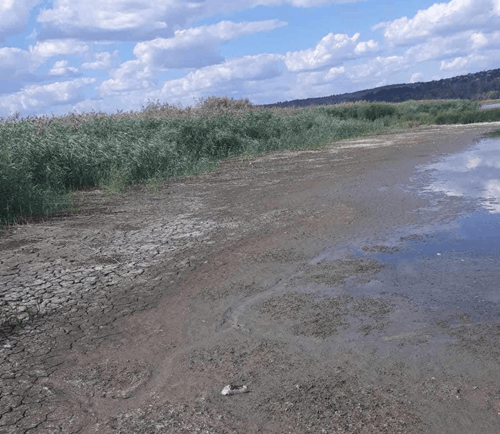 Lacul Dănceni se confruntă cu scăderi dramatice de apă