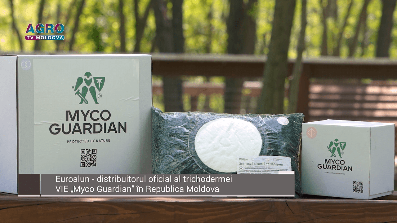 Trichoderma – combate natural bolile și crește imunitatea plantelor