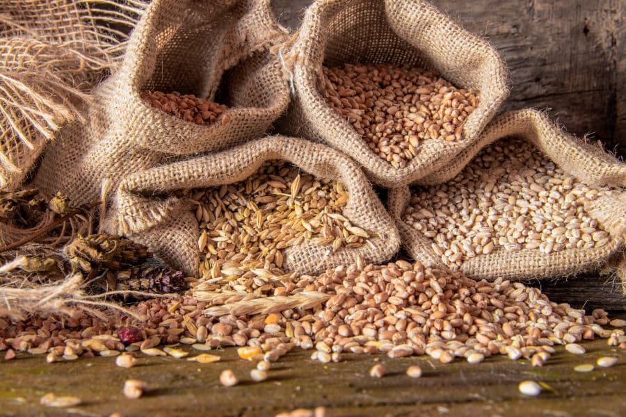 Cerealele și oleaginoasele moldovenești: Granzii din umbră ai exporturilor