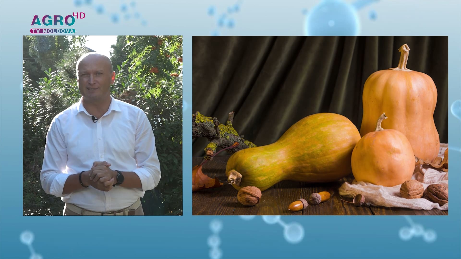 PROFU DE NUTRIȚIE – Regele legumelor de toamnă – dovleacul