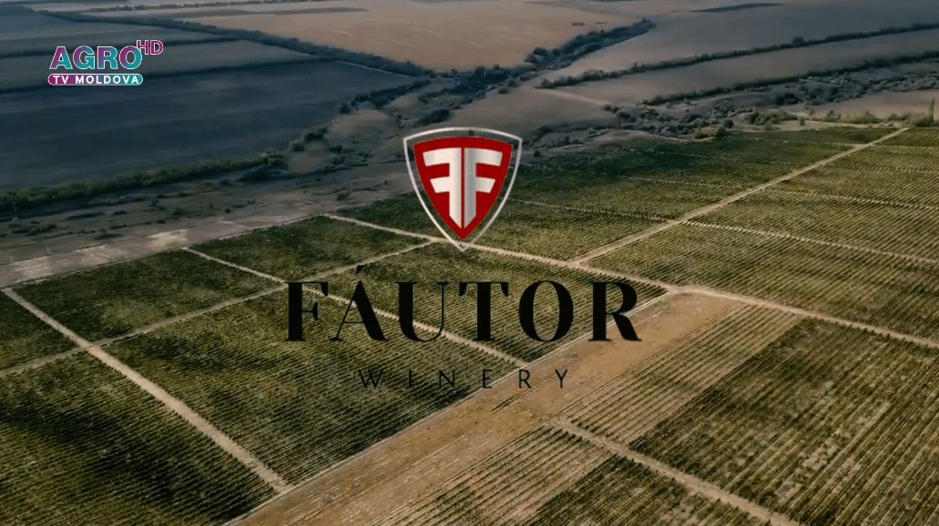 FAUTOR – tradiție, pasiune și vinuri excepționale