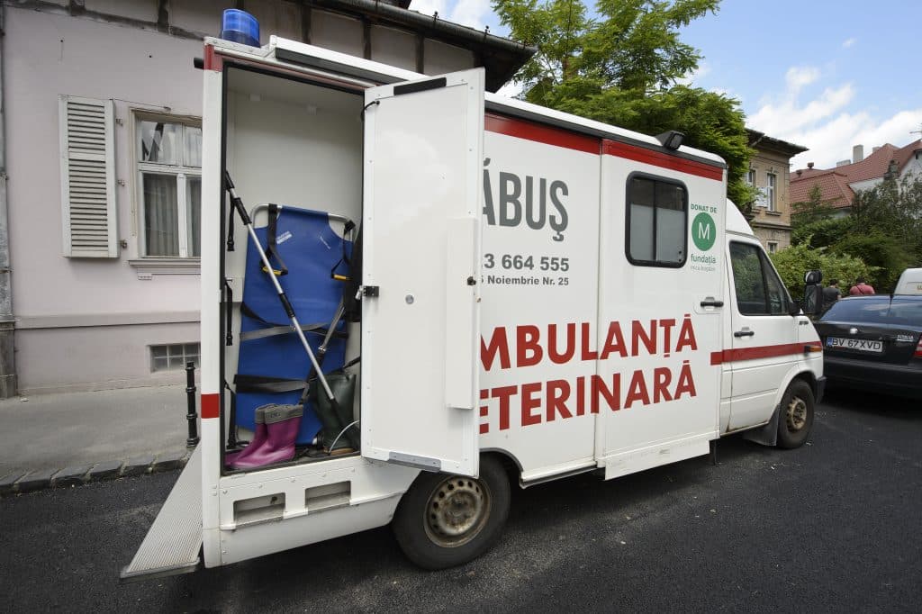 În Republica Moldova ar putea fi creată o clinică veterinară mobilă