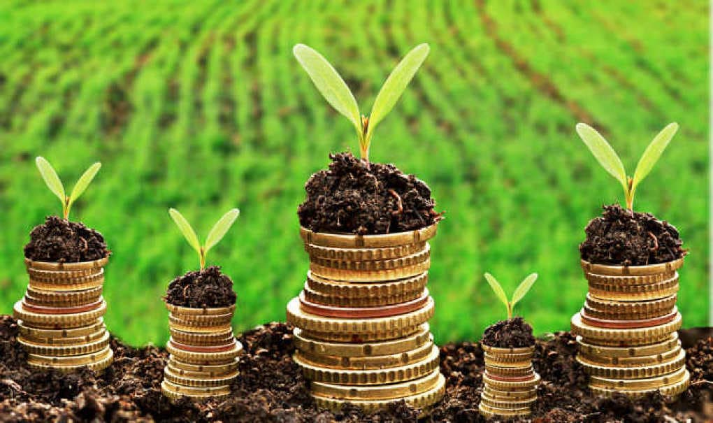 Perioada de rambursare a TVA pentru producătorii agricoli va fi extinsă
