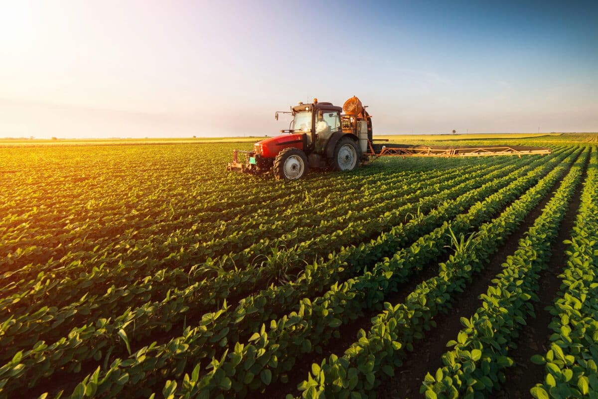 România, în declin agricol, pe fondul creșterii UE