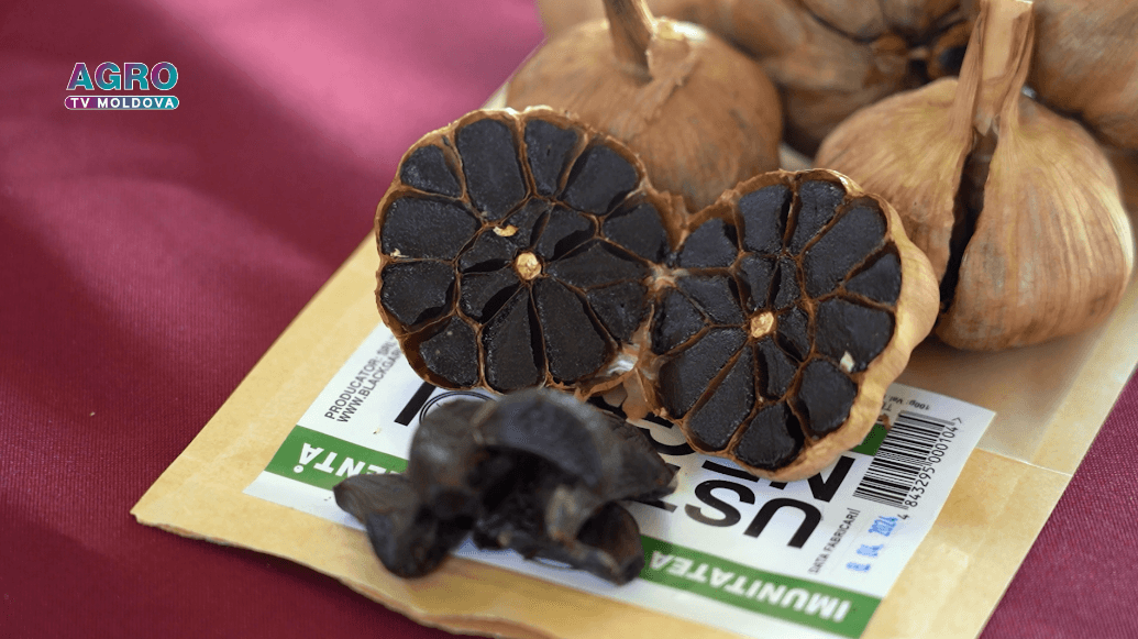 Usturoiul negru – produs absolut nou și inovator pe piața din Republica Moldova