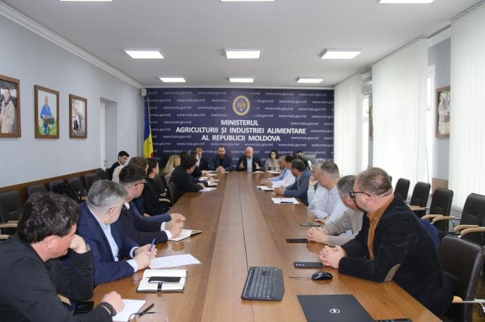 Producătorii de semințe de floarea-soarelui și procesatorii s-au întâlnit cu ministrul Agriculturii, Vladimir Bolea
