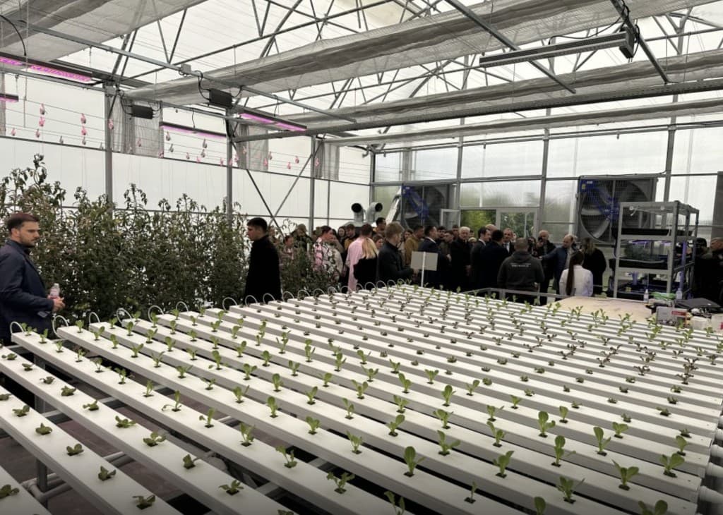 Universitatea Tehnică din Moldova va beneficia de un complex de sere moderne, precum şi de 12 loturi de teren agricol
