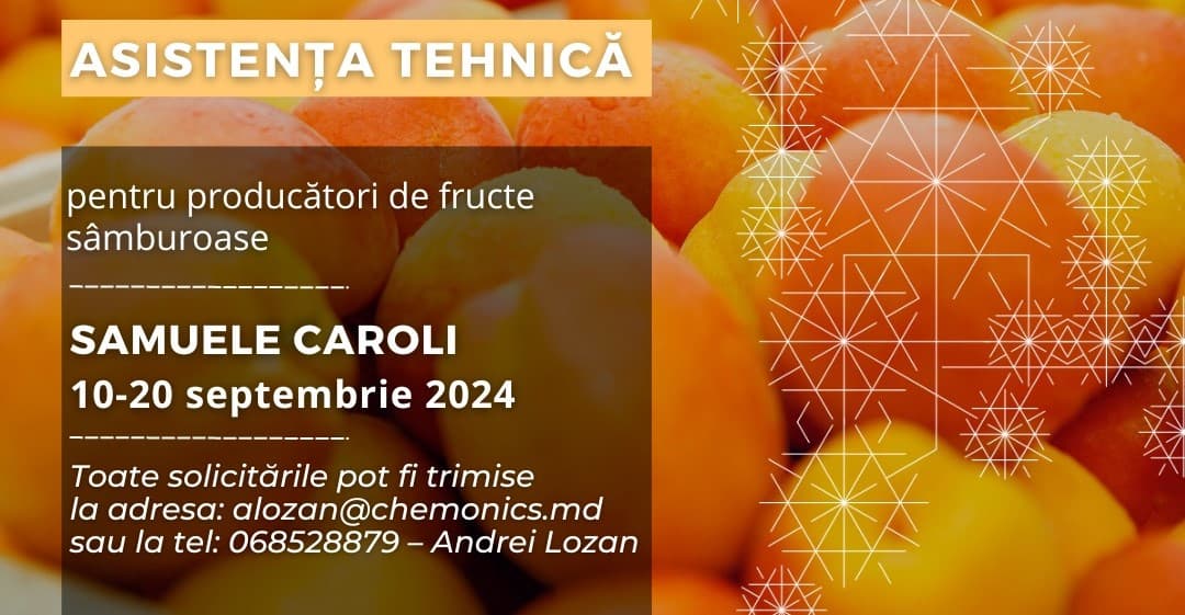 Producătorii de fructe sâmburoase pot beneficia de consultanță gratuită de la un expert internațional