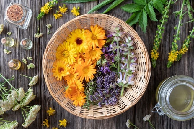 Producătorii de plante aromatice și medicinale solicită mai mult sprijin din partea autorităților
