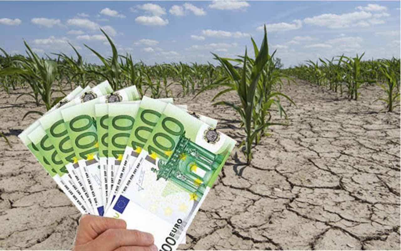 Ultima zi pentru depunerea cererilor de ajutor financiar pentru fermierii afectați de secetă