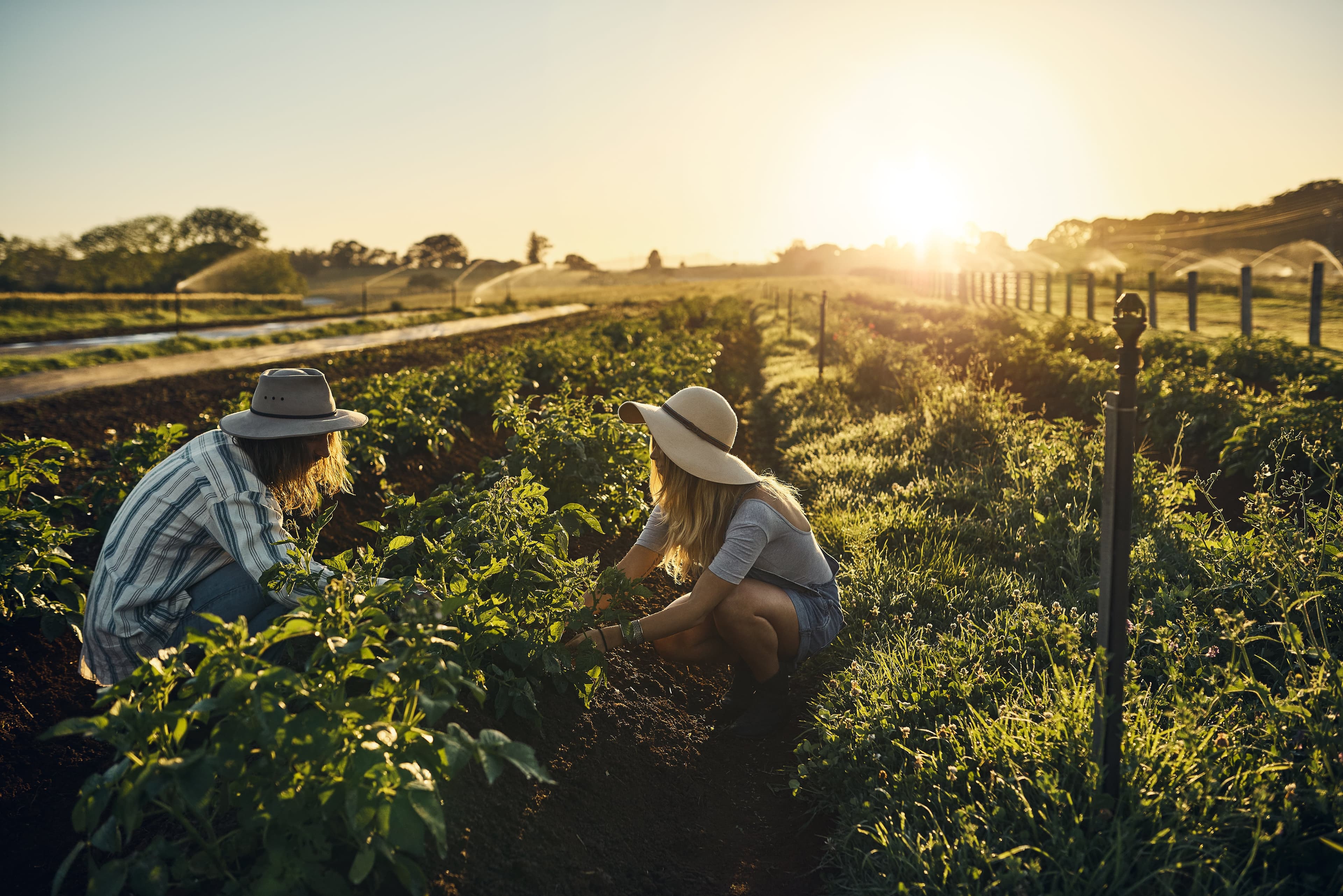 Programul de granturi educaționale TalentA, inițiat de Corteva Agriscience, dedicat femeilor fermier din Moldova