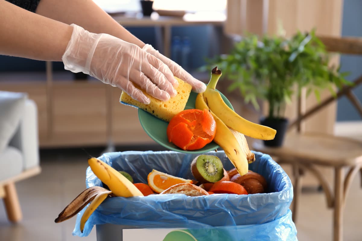 Ziua Mondială de Conștientizare privind Risipa și Pierderile Alimentare: 6 pași simpli pentru reducerea risipei