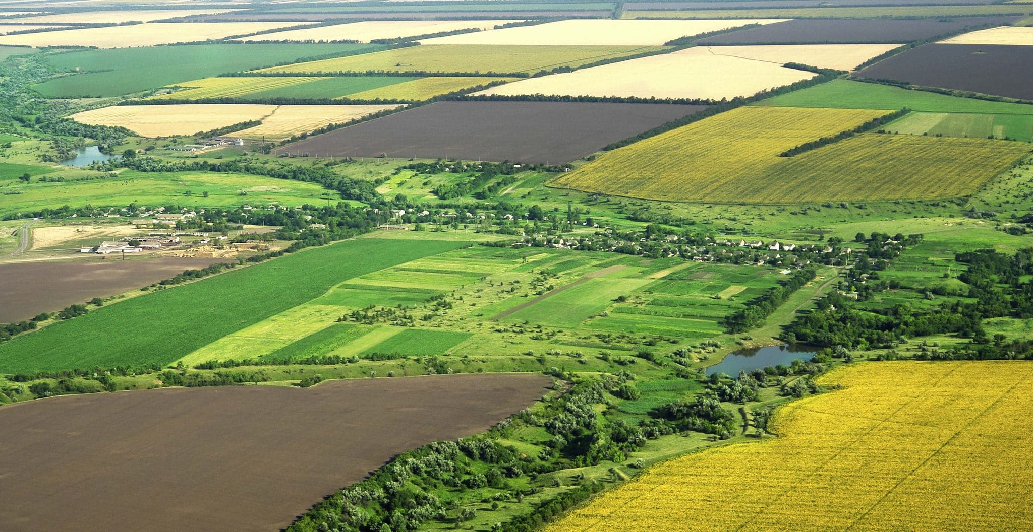 O nouă procedură pentru retragerea temporară a terenurilor agricole și forestiere