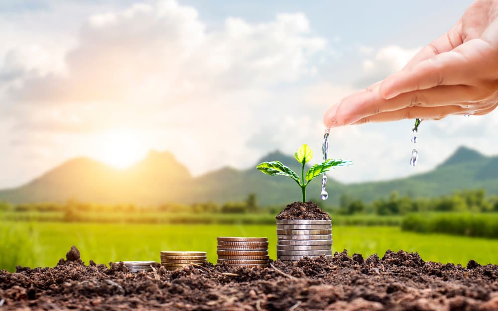 21 milioane de euro pentru fermierii români afectați de secetă și grindină
