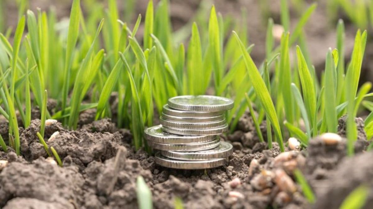 Apel de depunere a cererilor pentru subvenționare post-investiții lansate de AIPA
