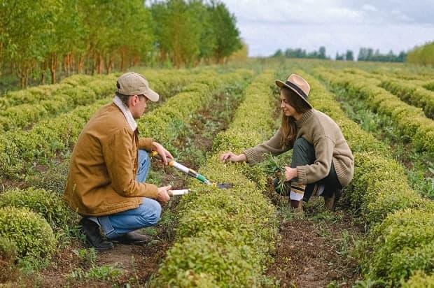 Comisia Europeană dublează sprijinul pentru tinerii fermieri