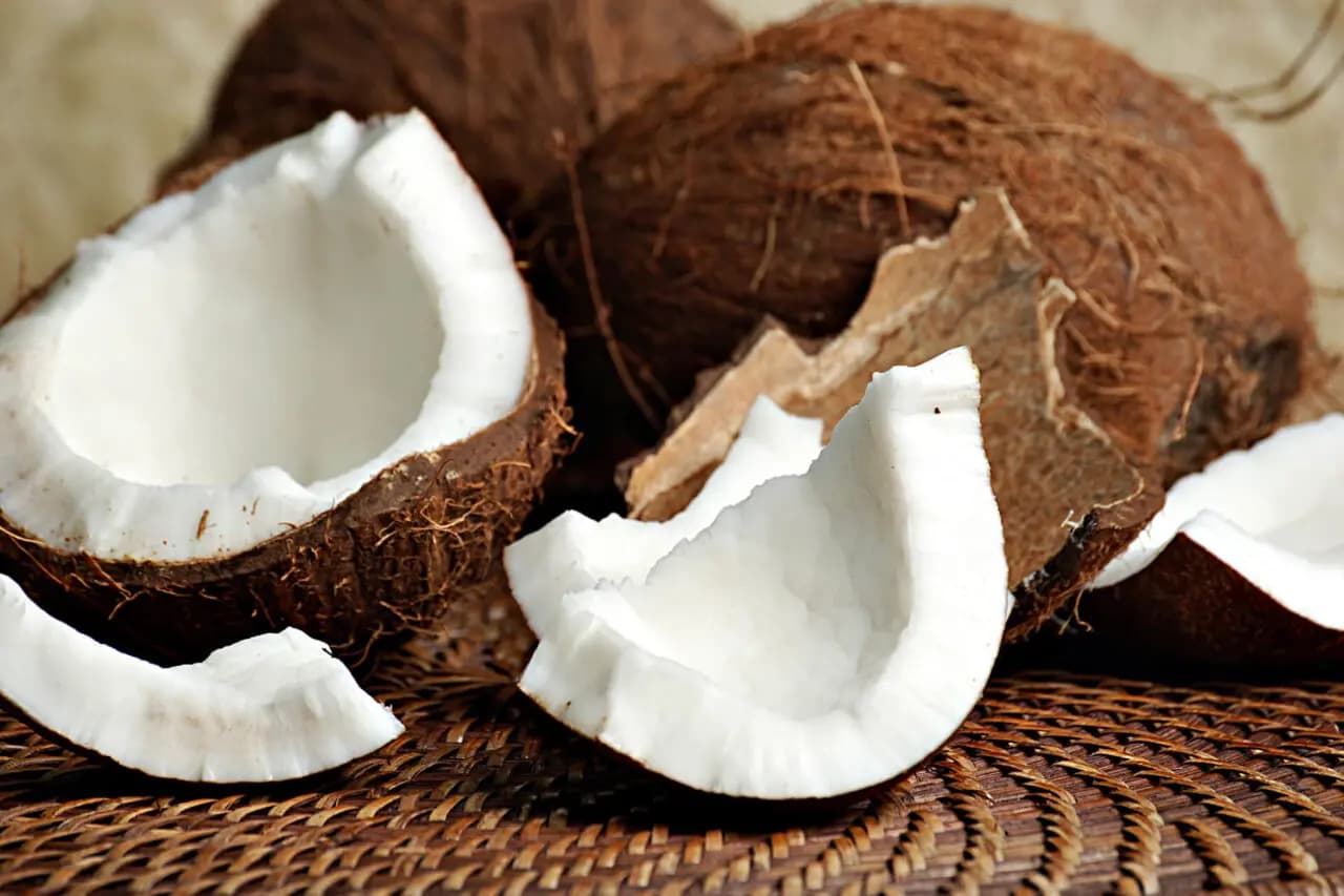 Primul vin din nucă de cocos