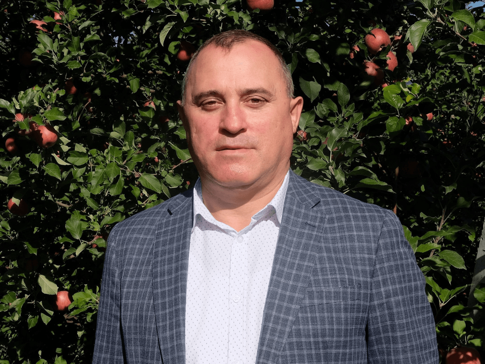 Iurie FALĂ: Calitatea fructelor moldovenești atrage cumpărătorii dispuși să ofere un preț mai bun