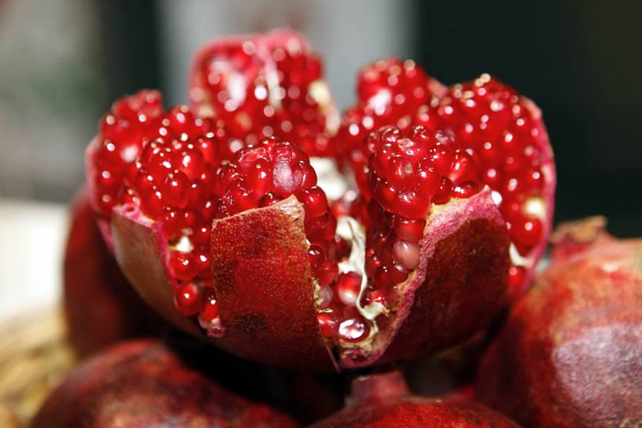 Fructe exotice cultivate cu succes în Moldova