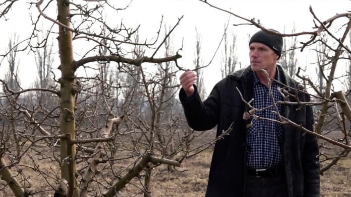 Agricultorii se pregătesc pentru primăvară! Cu ce provocări se confruntă fermierii