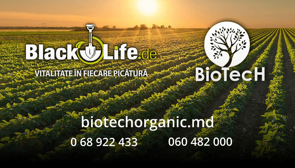 BIOTECH ORGANIC – lider în producția de îngrășăminte organice naturale!