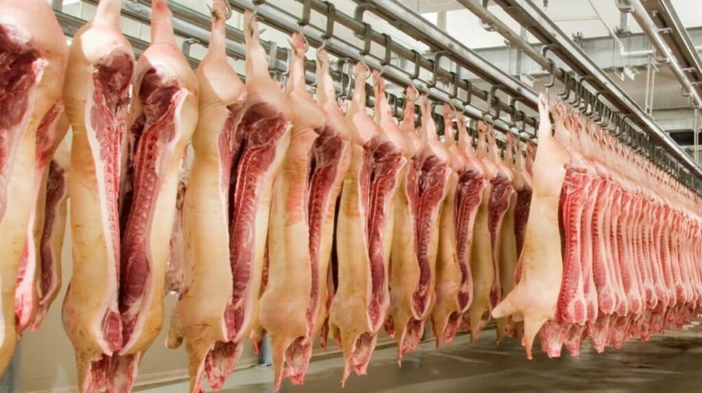 Fermierii pot solicita sprijin financiar pentru producția de carne