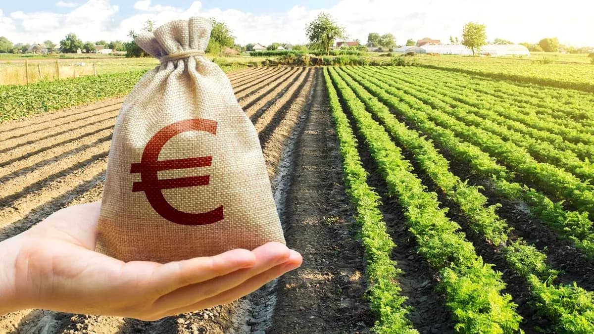 Banii europeni, folosiți împotriva fermierilor? Dezvăluiri din Parlamentul European