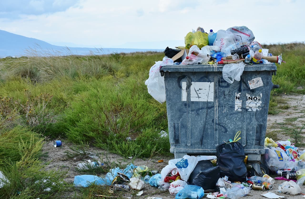Autoritățile publice locale vor fi obligate să sorteze deșeurile!