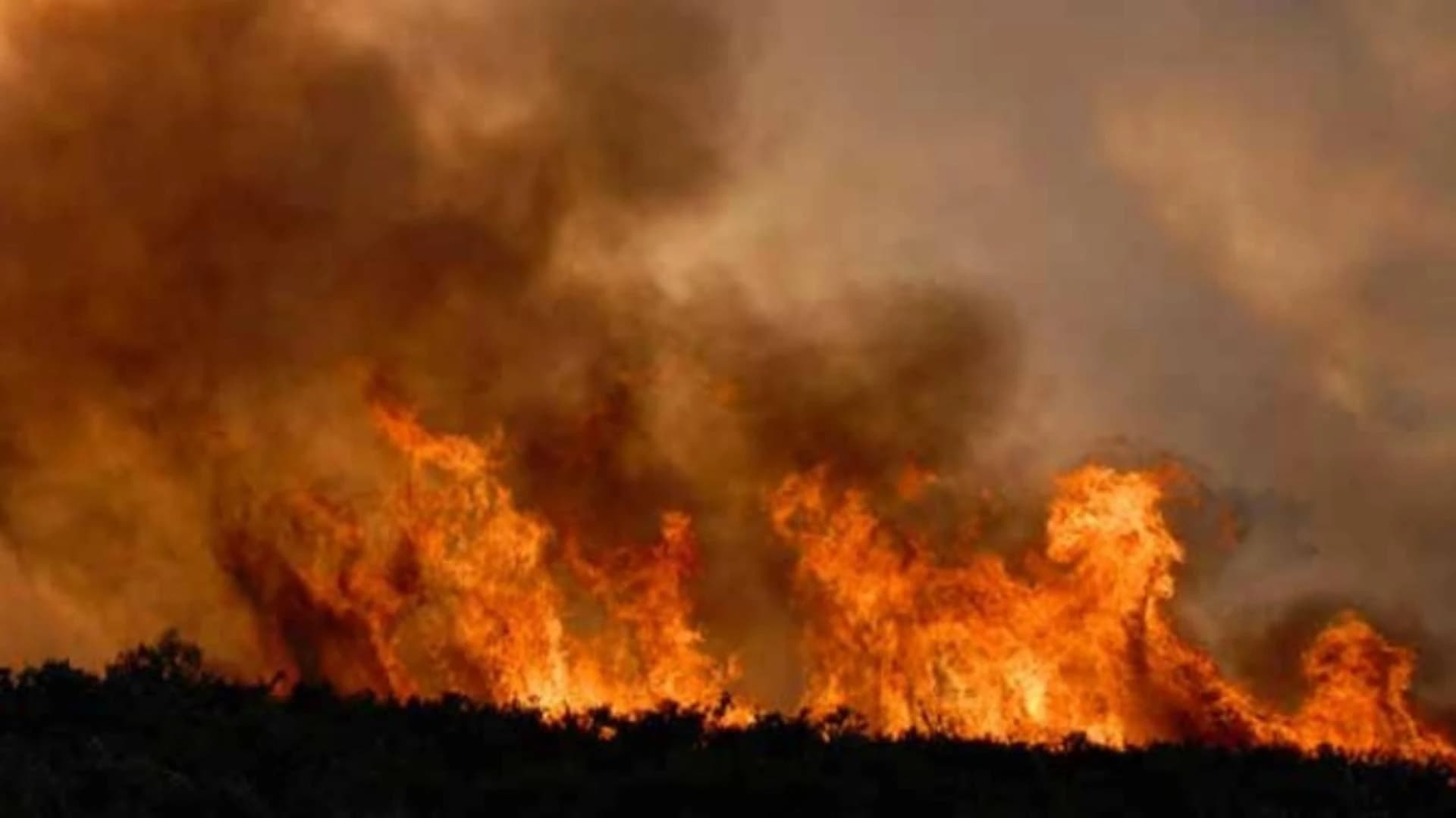 Incendiile de vegetație fac ravagii în România. Rezervația „Delta din Carpați”, distrusă de flăcări