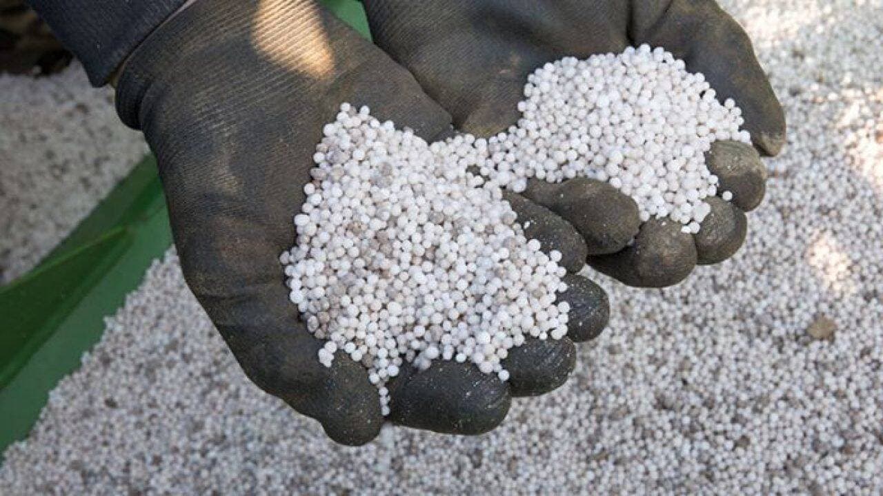 Prețurile îngrășămintelor sunt la cel mai mic nivel din ultimele luni, o oportunitate pentru agricultori