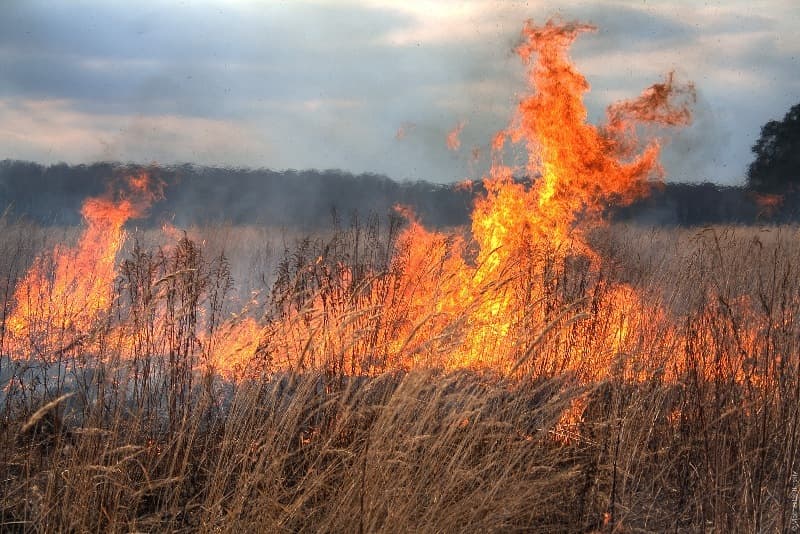 180 de hectare de vegetație mistuite de incendii în ultimele 24 de ore