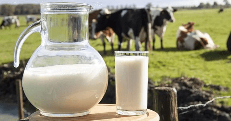 Fermierii au primit peste 85 milioane lei pentru laptele livrat în semestrul II din 2024