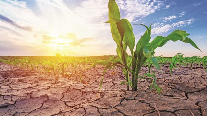 Agricultorii cer stare de criză