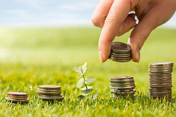 Guvernul oferă sprijin pentru fermieri, irigații și produse ecologice