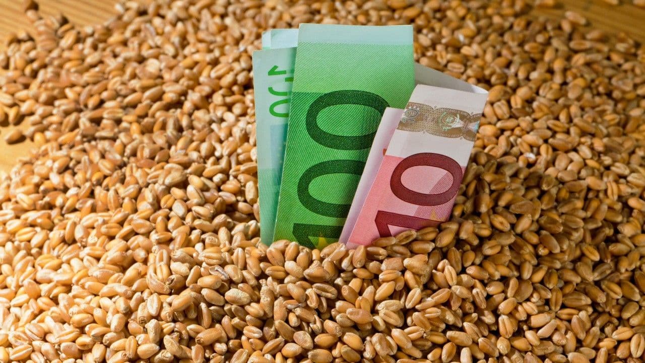 Prețurile cerealelor europene scad semnificativ. Fermierii în alertă