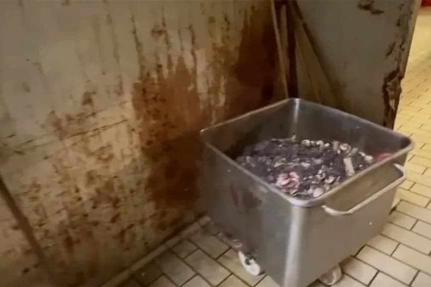 Piedone închide un abator din România în urma unor condiții de igienă șocante