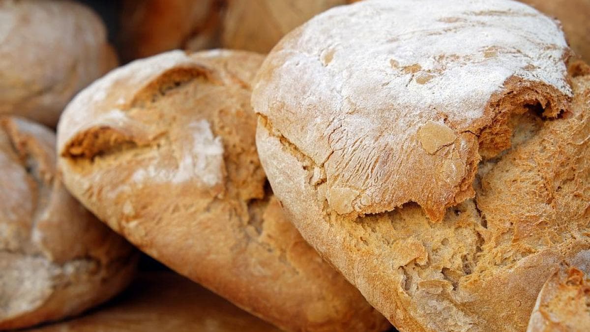 Pâinea care întinerește: invenție românească cu beneficii anti-îmbătrânire