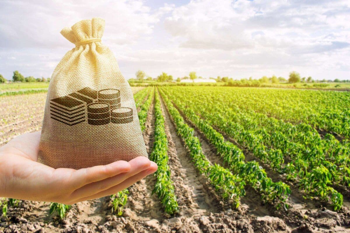 Agenția pentru Intervenții și Plăți în Agricultură a autorizat peste 133 milioane de lei pentru fermieri în luna iunie 2025