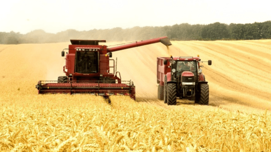 Granturi pentru dezvoltarea IMM-urilor din sectorul agroalimentar