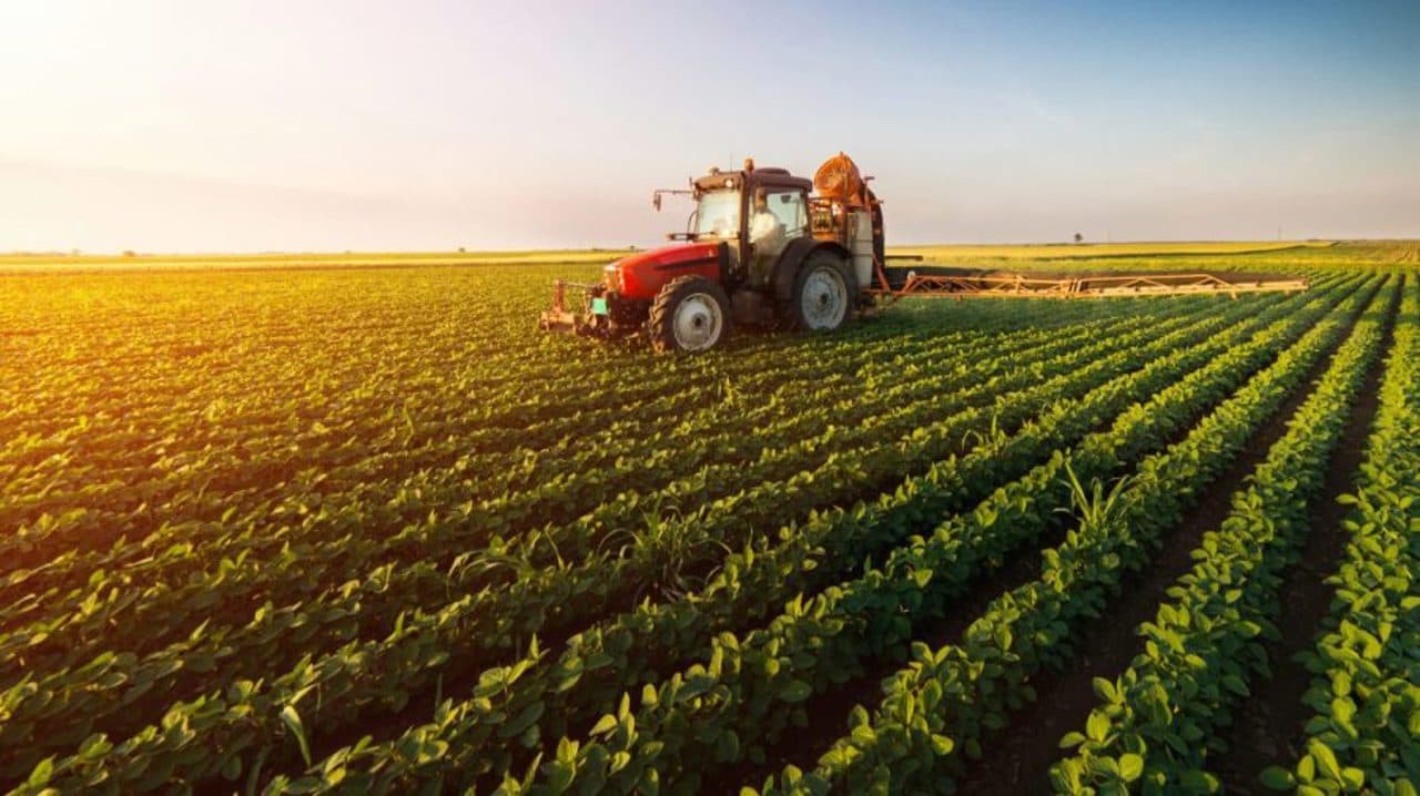 Noul acord UE–Ucraina: acces extins pe piață, reguli mai stricte pentru produse agricole