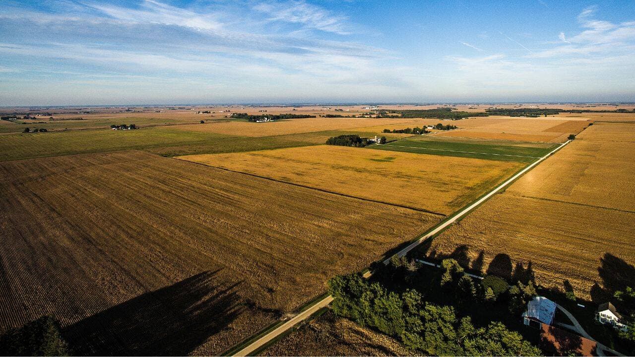 21 de terenuri agricole ale statului, scoase la licitație