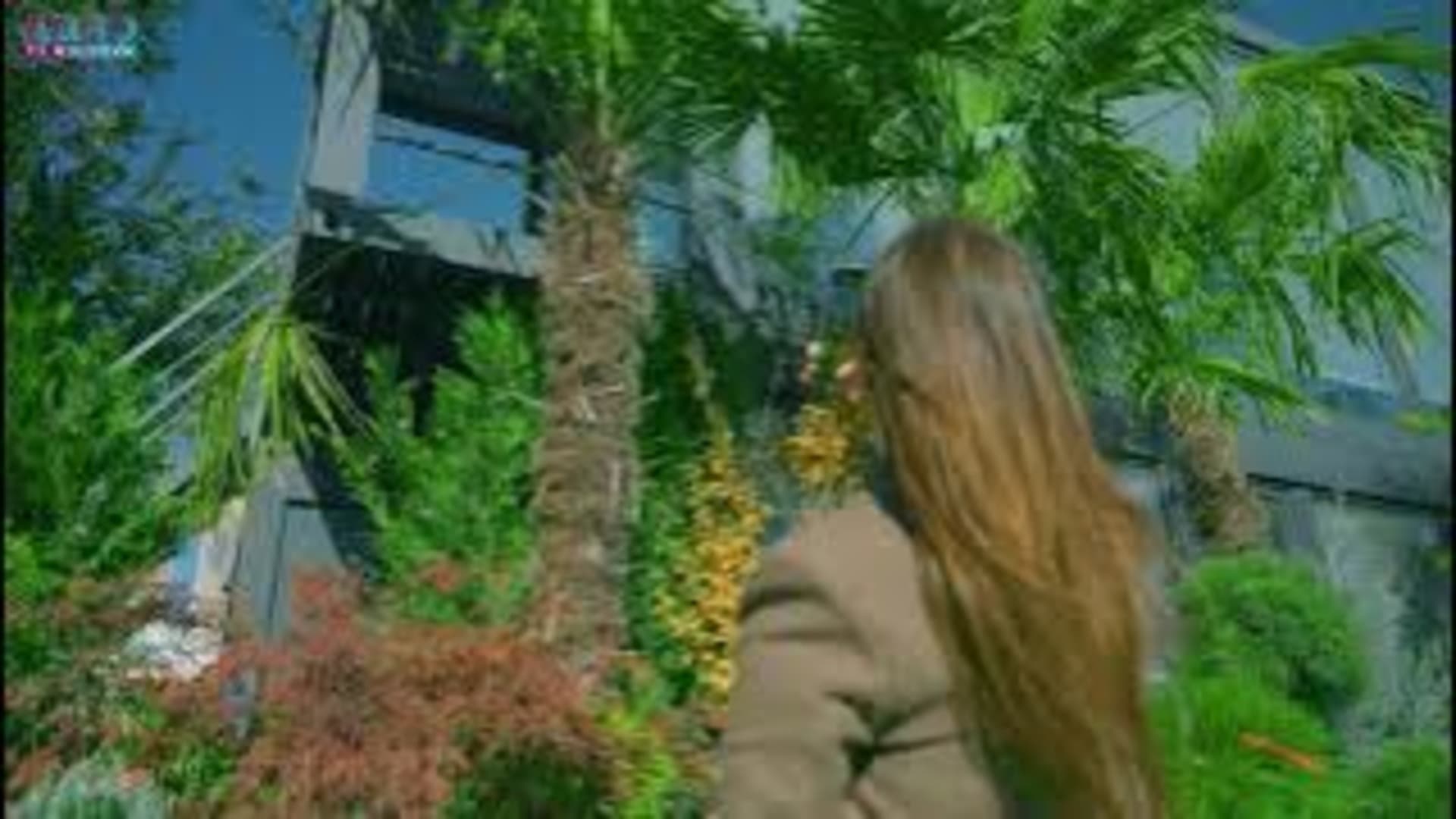 Lux Garden – Grădina ta merită ceva special