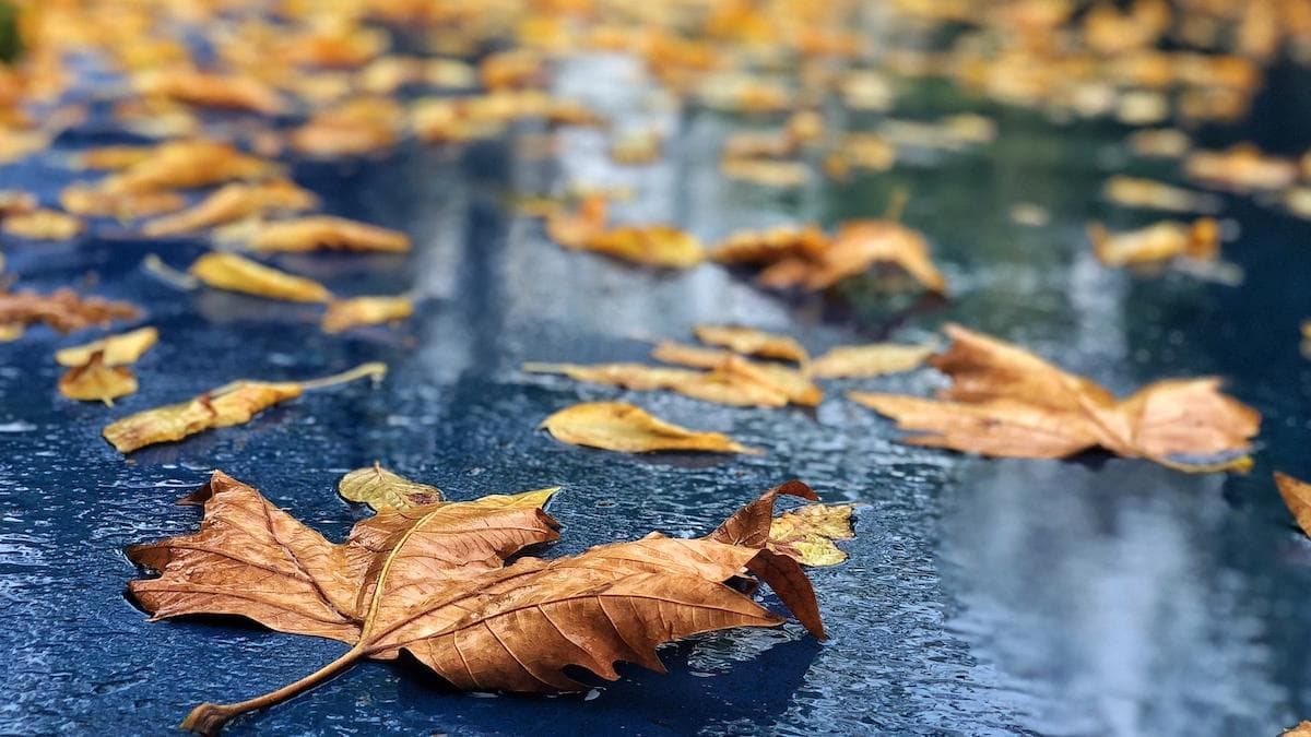 Cer noros și ploi pe întreg teritoriul țării