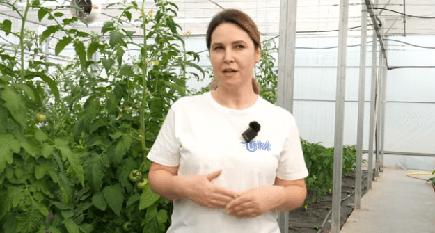 Metode de obținere a legumelor timpurii de calitate în solare
