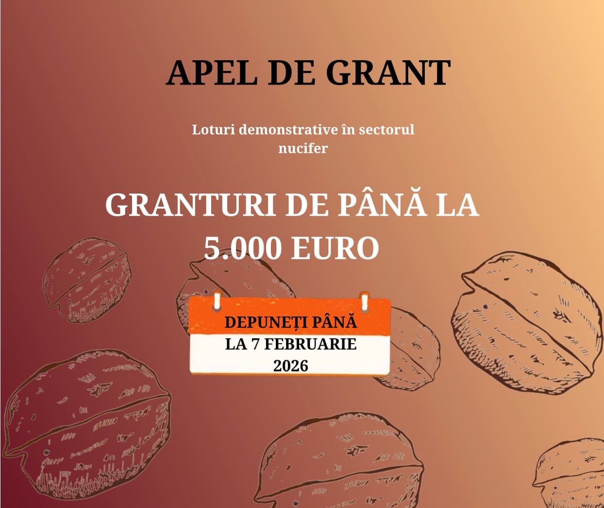 5.000 de euro pentru proiecte demonstrative în cultura nucilor
