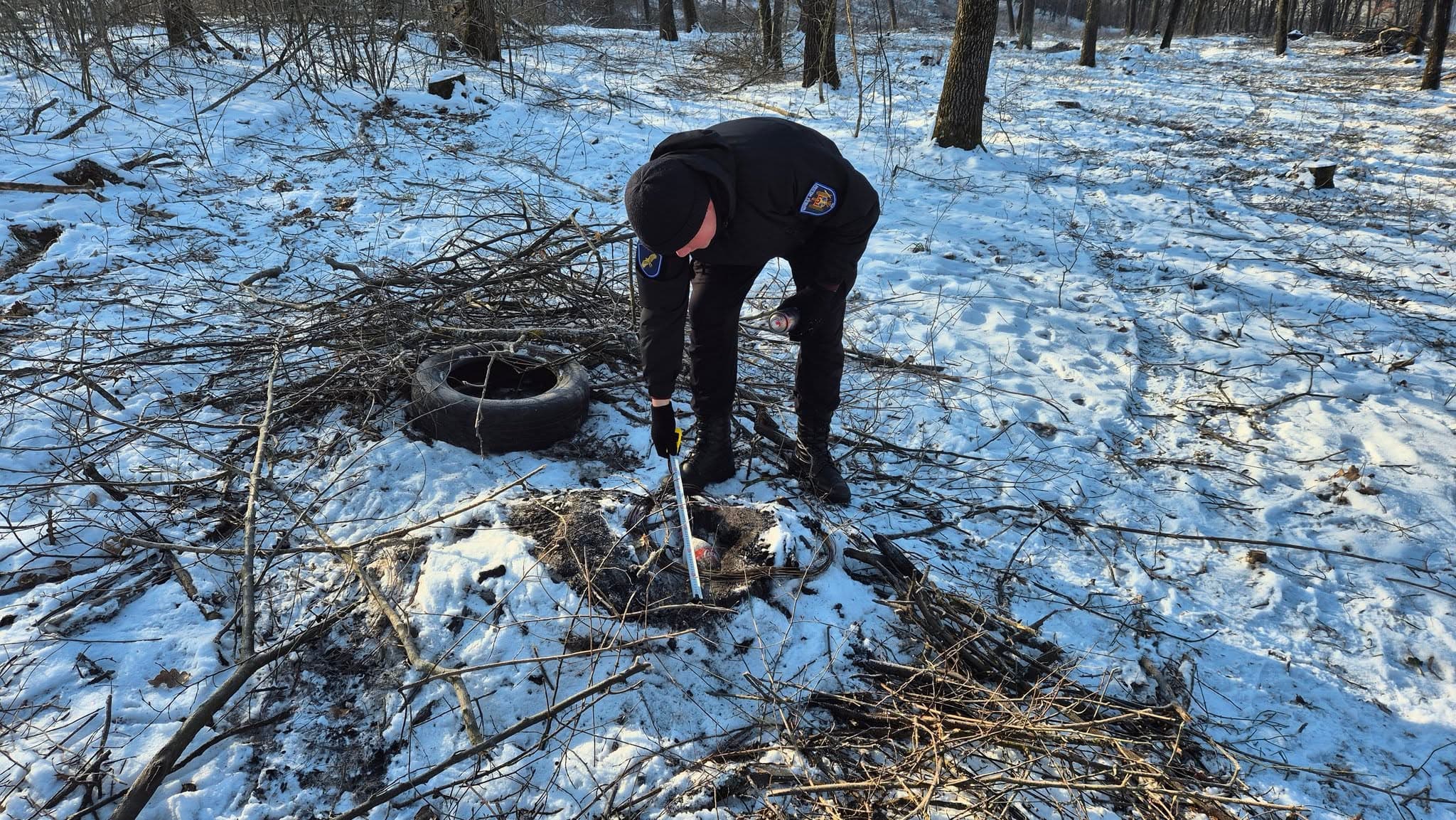 Jaf de proporții în pădurea de la Ghidighici: peste 1000 de arbori tăiați ilegal