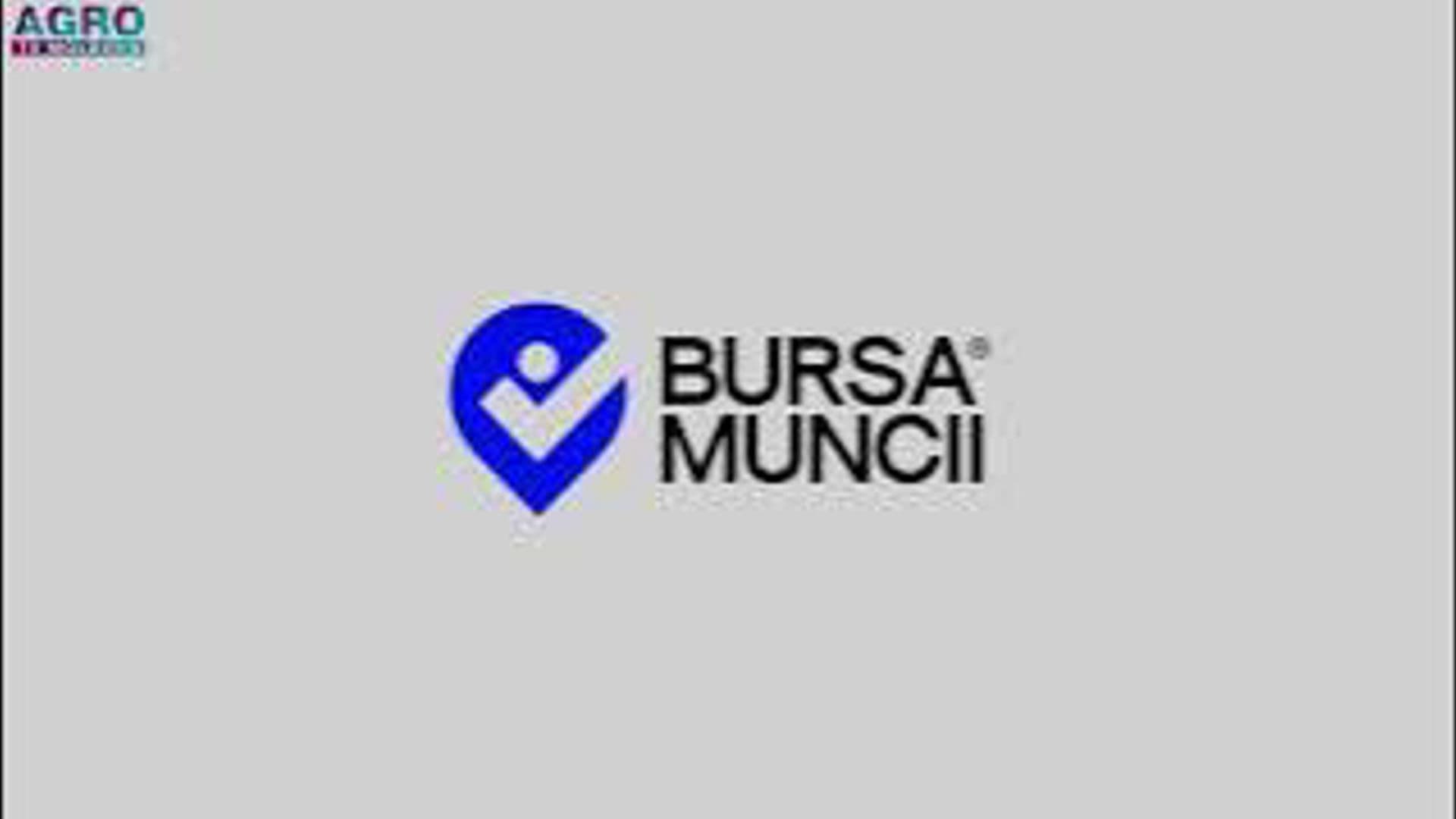 Bursa muncii